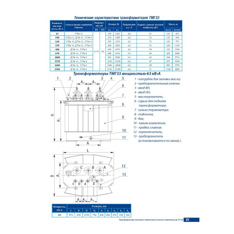 Трёхфазный масляный трансформатор ТМГ33-100/10-УХЛ1 - photo 1